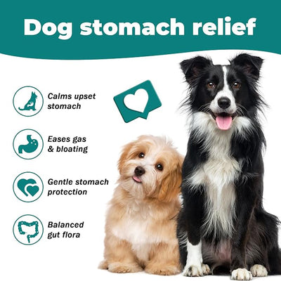Dog Upset Stomach Relief for Nausea | Probiotics for Dogs | Soothe Upset Stomach | Dog Slippery Elm & Pumpkin | Support Digestive Health | 2.12 OZ Chicken Flavor