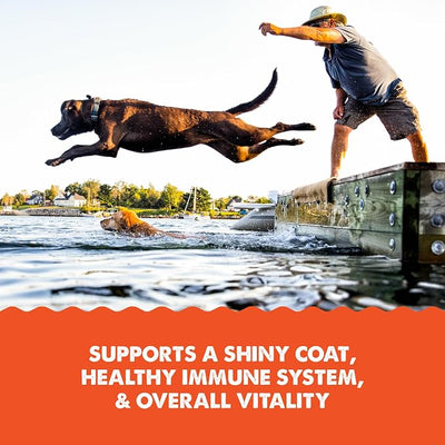 Grizzly Salmon Plus Omega 3-6-9 Food Supplement for Dogs and Cats, 8 oz. Pump Bottle
