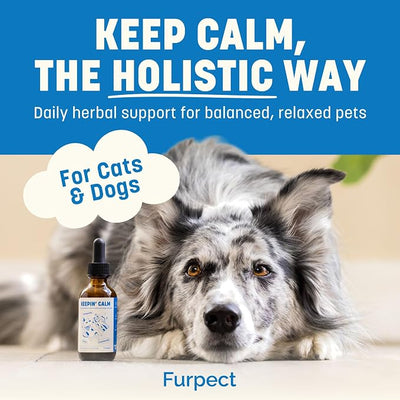 Keepin' Calm Ashwagandha Drops for Dogs & Cats - Calming Aid for Fireworks, Storms, Travel & Separation - Herbal Stress Relief, Non-Drowsy, 60ml