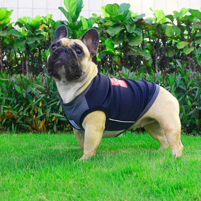 iChoue French Bulldog Summer Cooling Shirt for Dogs UV Sun Protection Vest Sleeveless Stretchy Tank Top English Pug Grey Black - Large