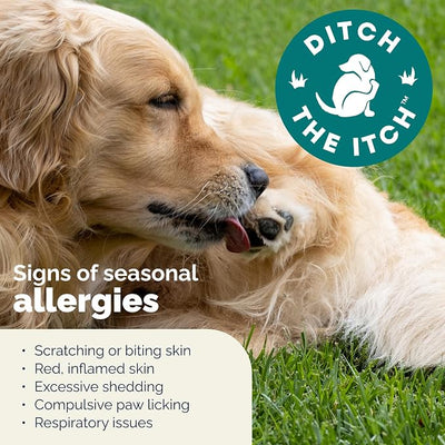 Vetnique Dermabliss Dog Allergy Chews Advanced Strength for Itch & Skin Relief, Anti-Itch Supplement with Aller-Biotic Pro, Quercetin, Wellmune & Omega 3 (60ct, Advanced Strength Chews)