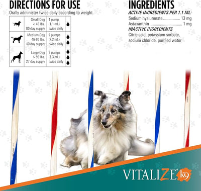 TRIXSYN - Canine Performance Hip and Joint Supplement for Dogs, 6 fl oz - Hyaluronic Acid Liquid HA with Patented MHB3 Formula to Support Joint Mobility & Recovery - 72 Day Supply