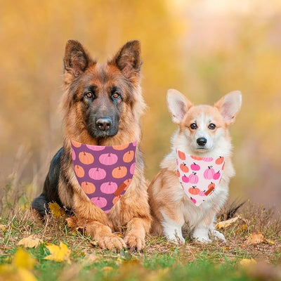 PTDECOR Fall Dog Bandana, Pink Pumpkin Design Reversible Holiday Dog Scarf, Triangle Thanksgiving Bandanas for Medium Large Dogs Pets (Large)