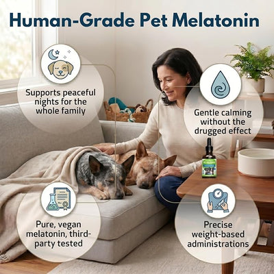 Pet Wellbeing Pet Melatonin for Dogs - Vet-Formulated Holistic Sleep Support - Healthy Sleep Patterns, Circadian Rhythm Balance - Liquid Melatonin Supplement - Made for Dogs 4 oz (118 ml)