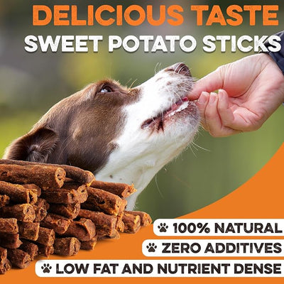 BRUTUS & BARNABY USA Sweet Potato Dog Treats - Crunchy Grain Free Cinnamon Apple Sticks, Promotes Positive Gut Health with Natural Anti-Diarrhea Properties (Cinnamon & Apple, 12 oz)