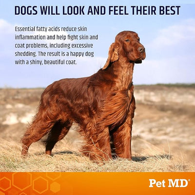 Pet MD Salmon Oil Chews for Dogs - Dog Skin and Coat Supplement - 120ct | Omega 3 & 6 for Pets with DHA & EPA - Promotes Allergy & Dry Skin Relief