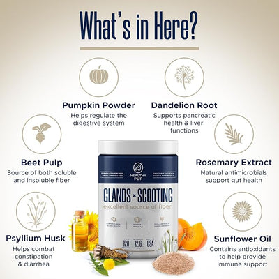 Glands Bowel Support - 120 Delicious Scoot Soft Chews for Scooting, Healthy Anal Glands, and Digestive Health - Made with Pumpkin Powder for Dogs