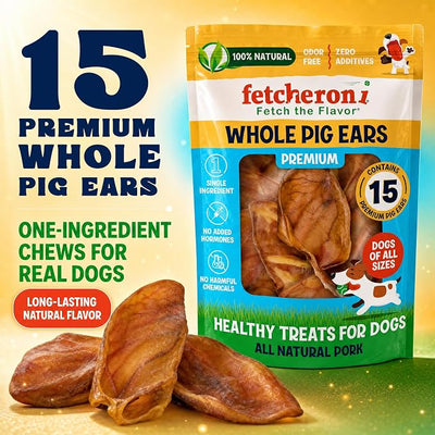 FETCHERONI Whole Pig Ears for Dogs - Single Ingredient Pig Ears Dental Chews for Dogs - Thick Cut Pet Chew Treats for Small or Large Breed, Teeth and Gums, No Added Hormones or Chemicals, Pack of 15