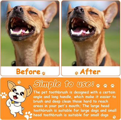 Honeydak Dog Toothbrush Bulk Dual Headed Dental Brushes Dogs Tooth Brushing Kit Long Handle Pet Tooth Brush for Puppy Large Small Cats and Most Pets Teeth Cleaning Dental Supplies(70 Pcs,Multicolor)