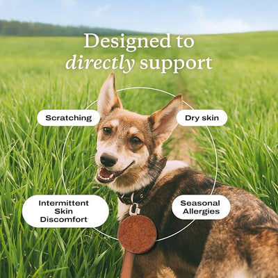 PetLab Co. Itch Relief Chew Pro – Itch Relief Chews for Dogs, Omega 3 Itch Supplement, Packed with Beneficial Fatty Acids for Healthy Skin, Seasonal Allergies Support - Packaging May Vary - Pack of 2