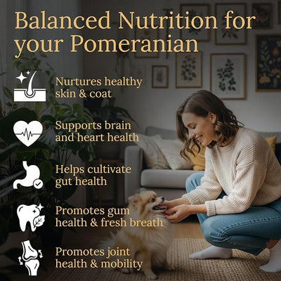 Multivitamins, Balanced Nutrition for Your Pomeranian, 90 Count, Made in the USA with Real Bacon