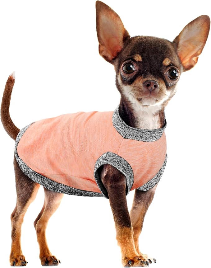 Chic Ion Polyester Dog Vest: Adorable Fashion Apparel for Small, Medium, and Large Breeds - Moisture-Wicking, Soft, Anti-Static, Durable, Easy-to-Clean Shirt - Orange 3XL