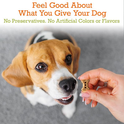Riley's Dog Biscuits - Organic & Crunchy Small Dog Treats for Training and Reward - All Natural Bone Biscuits Made in USA - 12oz, Sweet Potato