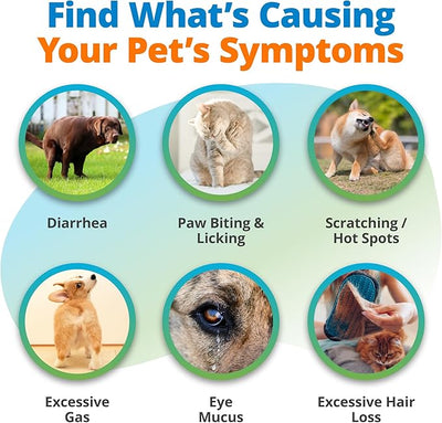 5Strands Pet Food Intolerance Test, at Home Sensitivity Test for Dogs & Cats, 825 Items Tested, Hair Analysis, Accurate for All Ages & Breeds, Pet Gut Health, Results in 4 Days