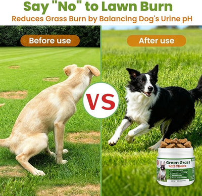 VUN Dog Urine Neutralizer for Lawn – Green Grass Dog Chews to Prevent Yellow Spots & Lawn Burn – Grass Saver Soft Chews with DL-Methionine,Cranberry&Probiotics-100 Soft Chews