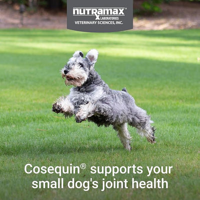 Nutramax Cosequin Minis Joint Health Supplement for Small Dogs - With Glucosamine and Chondroitin, Plus Boswellia, 45 Soft Chews