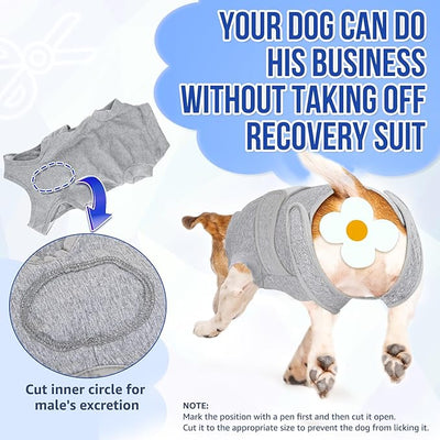 SlowTon Dog Surgery Recovery Suit - Zipper On Dog Onesies After Surgery for Female Male Dogs, Abdominal Wounds Bandages Cone/E-Collar Alternative Dogs Body Suit Anti-Licking (Grey,XL)