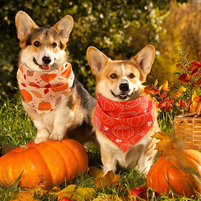 Abbylike 50 Pcs Fall Dog Bandanas Bulk Autumn Pumpkin Bandanas for Dogs Triangle Kerchief Bibs Scarf for Pets Thanksgiving Party Costume Photo Props Accessories, 25 Styles (25.6 x 17.7 x 17.7)