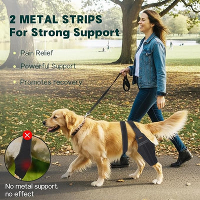 Dog Knee Brace for Torn ACL Hind Leg – Support Dog Leg Brace for Back Leg with 2 Stabilizers, Adjustable Hip Support to Reduces Pain Luxating Patella, Ligament Injuries, CCL (Left Leg, M)