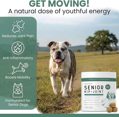 Glucosamine for Senior Dogs Hip and Joint Supplement, 60 Mobility Chews | Made with Glucosamine, MSM, Chondroitin, Green Lipped Mussels and More