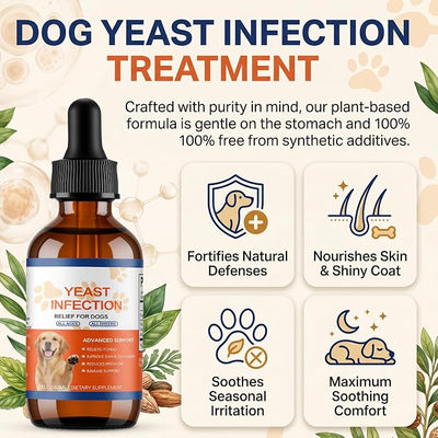 Natural Yeast Infection Treatment for Dogs - Bacon Flavor Yeast Relief Drops for Itchy Ears, Skin, Paws & Allergies - Supports Gut & Immune Health, Reduces Irritation - 60ml