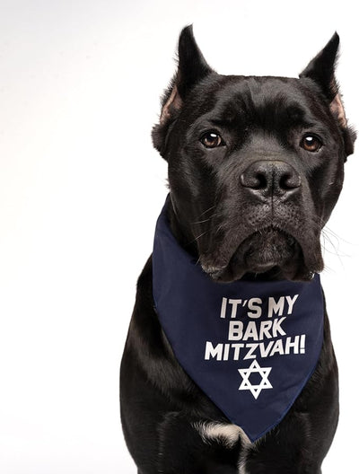 It's My Bark Mitzvah! Bat Mitzvah, Bar Mitzvah Jewish Star Dog Bandana (Royal Scrunch, OS 162)