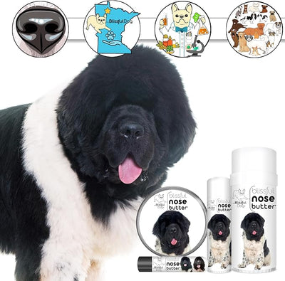 The Blissful Dog Landseer Newfoundland Nose Butter, Versatile Dog Nose Balm for Dry Nose, Handcrafted Nose Moisturizer, Easy-to-Apply Dog Essentials, Unscented, 2 oz.