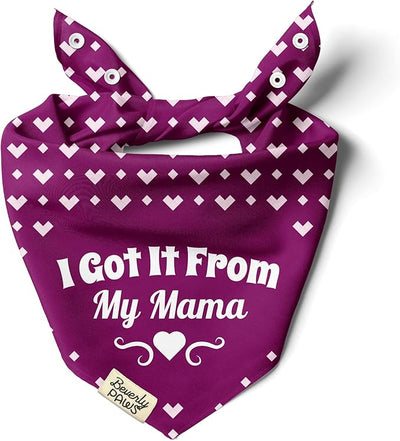Funny Snap-On Dog Bandana for Small Medium Large Pets, Dogs Cats Adjustable Handkerchief Scarf for Girl & Boy, Cute Puppy Apparel & Accessories (Got It from My Mama, Medium)