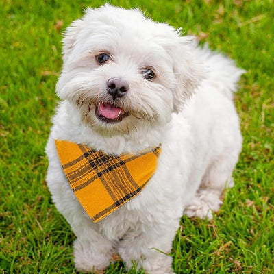Classic Plaid Pattern Dog Bandana - Adjustable Soft Triangle Pet Scarf for Boys and Girls,Medium