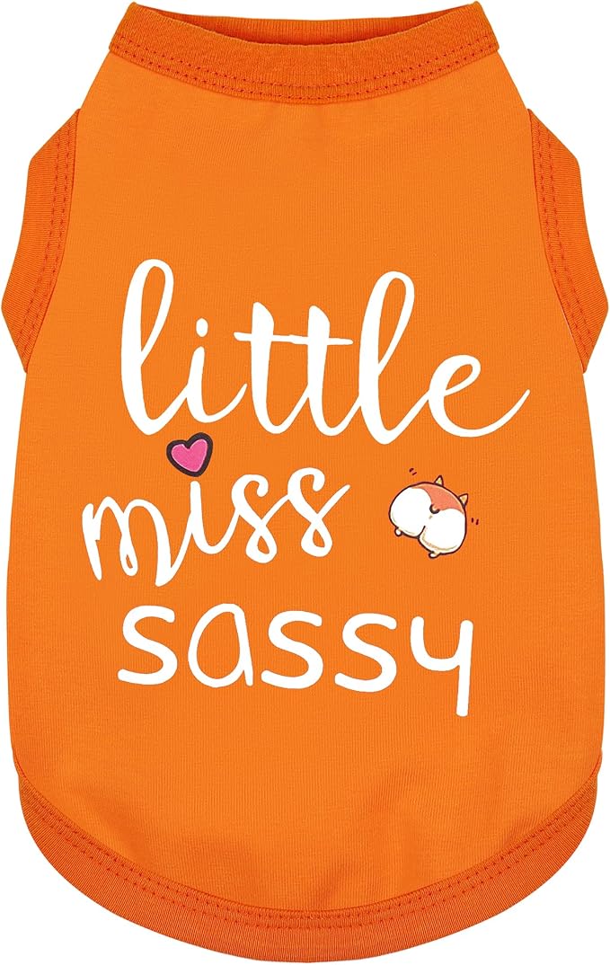 Paiaite Dog Clothes Fashionable Sleeveless Pet Vest: 'Little Miss Sassy' Printed Cotton Dog Shirt, Ideal for Small, Medium, and Large Breeds, Ensuring Comfort and Breathability Orange XL