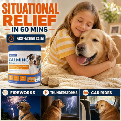 Calming Chews for Dogs — Melatonin Dog Calming Treats Trial Pack — Anxiety, Sleep Aid & Thunderstorm Relief — Non-Drowsy Natural Soft Chews, Chicken Flavor, 15 Count