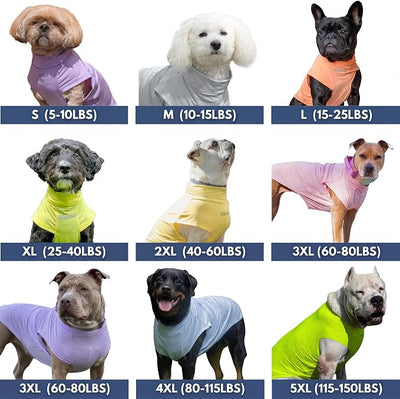 Spark Paws Sunblock Dog T-Shirt, SPF30 Protection, Lightweight Breathable Quick Dry for Dogs with Sensitive Skin - Bees & Flamingo (Set of 2) - Size M