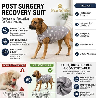 Dog Recovery Suit – Cotton Surgical Onesie, Spay Neuter Post Surgery, Anti-Licking E-Collar Cone Alternative, Abdominal Wound Cover, Male & Female Dogs