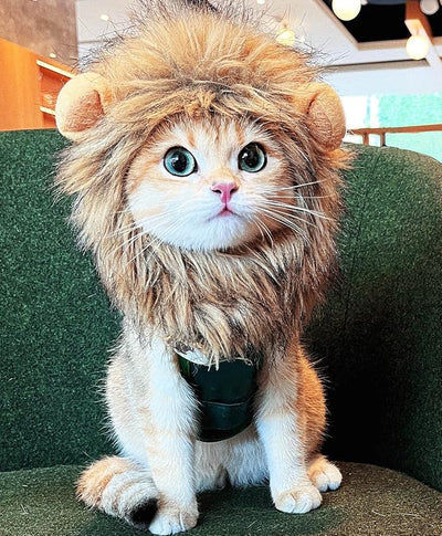 Lion Mane Wig for Cat Costume Pet Adjustable Washable Comfortable Fancy Lion Hair Cat Clothes Dress for Halloween Christmas Easter Festival Party Activity (Large, Brown)