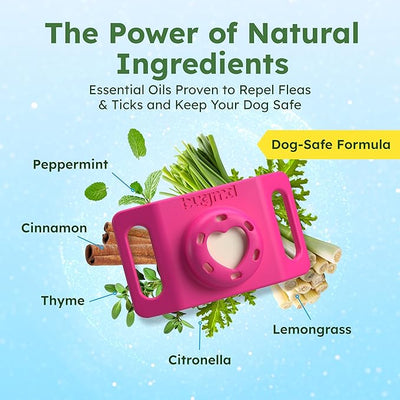 BugMD Paw Guardian Flea and Tick Prevention Pendant for Dogs with AirTag Holder, Plant-Powered Flea and Tick Control for Collars and Harnesses, (15.14 Grams) Pink