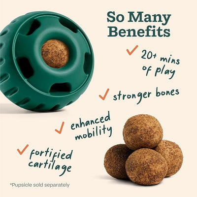 WOOF Hip & Joint Pupsicle Refill Pops - Dog Joint Supplement for The Pupsicle Toy to Support Joint Health, Recovery, and Mobility - Large Pops - 2 Pack
