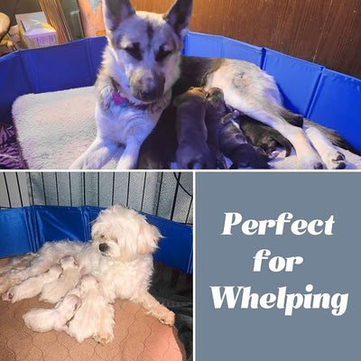 Artilife Whelping Box for Dogs Welp Box Whelping Pool,Puppy Whelping Pen for Dogs Puppies,Great for Puppies,Easy to Clean (47inch Dia.x12inch H(120x30cm), Blue)