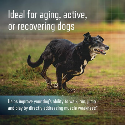Virbac URSOLYX™ Soft Chews for Dogs | Muscle Health Support for Senior, Active or Recovering Dogs, Large Over 60lbs | 60 Count 2- Month Supply