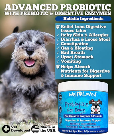 Well Loved Probiotics for Dogs, Dog Probiotics, Made in USA, Vet Developed for Gut Health, Yeast Balance, Itchy Skin, Diarrhea & Gas Relief, Chews with Prebiotic & Digestive Enzymes, Digestive Support