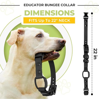 eCollar Replacement Strap Bungee Style - Waterproof Collar Compatible with Garmin, Dogtra, SportDOG, Educator (Blue, 3/4")