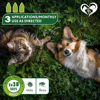 Beloved Pets Flea & Tick Spot-On Drops for Dogs and Cats - Topical Drops, 3 Supply Pack
