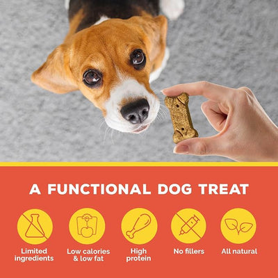 BRUTUS BONE BROTH Biscuits for Dogs - Protein-Rich Dog Treats with Bone Broth and Real Pork & Apple - All Natural and Tasty - 8oz, Pack of 6, Pork and Apple Flavor
