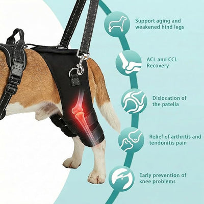 Dog Knee Braces for Torn ACL Hind Leg, Adjustable Dog Leg Braces for Back Leg with 4 Stabilizers for Luxating Patella Relieves Ligament Injury and Joint Pains