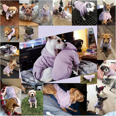 Jecikelon Soft Dog Hoodies for Small Dogs, Fleece Puppy Sweatshirt with Pockets, Warm Winter Cold Weather Coats for Pet Cat, Cute Clothes Puppy Costume (Purple, X-Small)