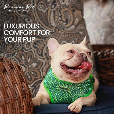 Parisian Pet Dog Harness - Breathable Mesh Green Blue No Pull Puppy Harness with Leash Ring - Adjustable Harnesses for Dogs - Soft Padded Step-in Pet Vest - Lightweight Dog Vests for Large Sized Dogs