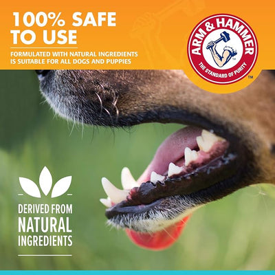 Arm & Hammer for Pets Fresh Breath Enzymatic Dog Toothpaste Vanilla Ginger Flavor Baking Soda Dental Gel Eliminates Bad Breath Safe Puppies Adult Dogs 2.5 OZ 72 Pack for Daily At-Home Dental Care