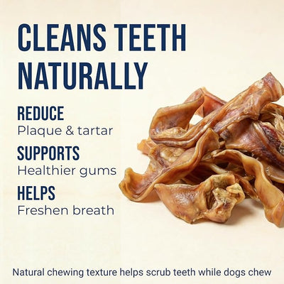 K9warehouse Pig Ears Strips - 32oz USA Packed - Natural Bulk Pig Ear Slivers - Treats Made of 100% Pure Pork - Alternative to Rawhide Chews - Thick Cut Pigs Ear Dog Treats for Small to Large Dogs