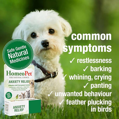 HomeoPet Anxiety Relief Medicine for Pets, Natural Anxiety Relief for Dogs and Cats, Cat and Dog Calming Medicine, 15 Milliliters