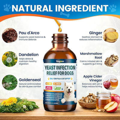 Natural Yeast Relief for Dogs, Supports Itch & Allergy Relief, Eases Ear Paw Discomfort for Dog, Supports Immune System Yeast Inflammation – 60ml Bacon Flavor