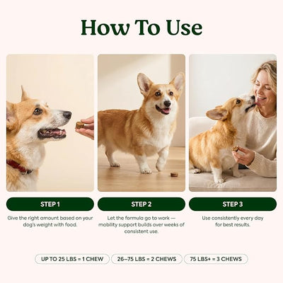 Hip & Joint Supplement for Dogs – Soft Chews for Joint Mobility Support with Glucosamine, Chondroitin, MSM, Green Lipped Mussel & Hyaluronic Acid – Hickory Smoke Flavor